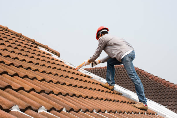 Trusted Arnold, PA Roofing services Experts